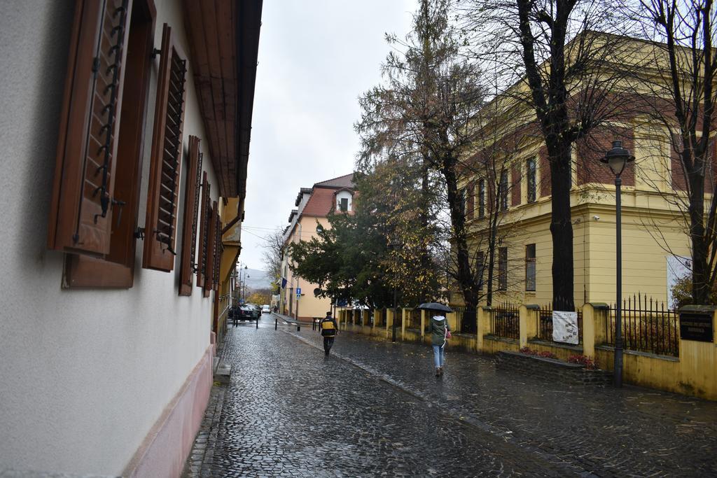 History Apartments Cetatii Сибиу Экстерьер фото